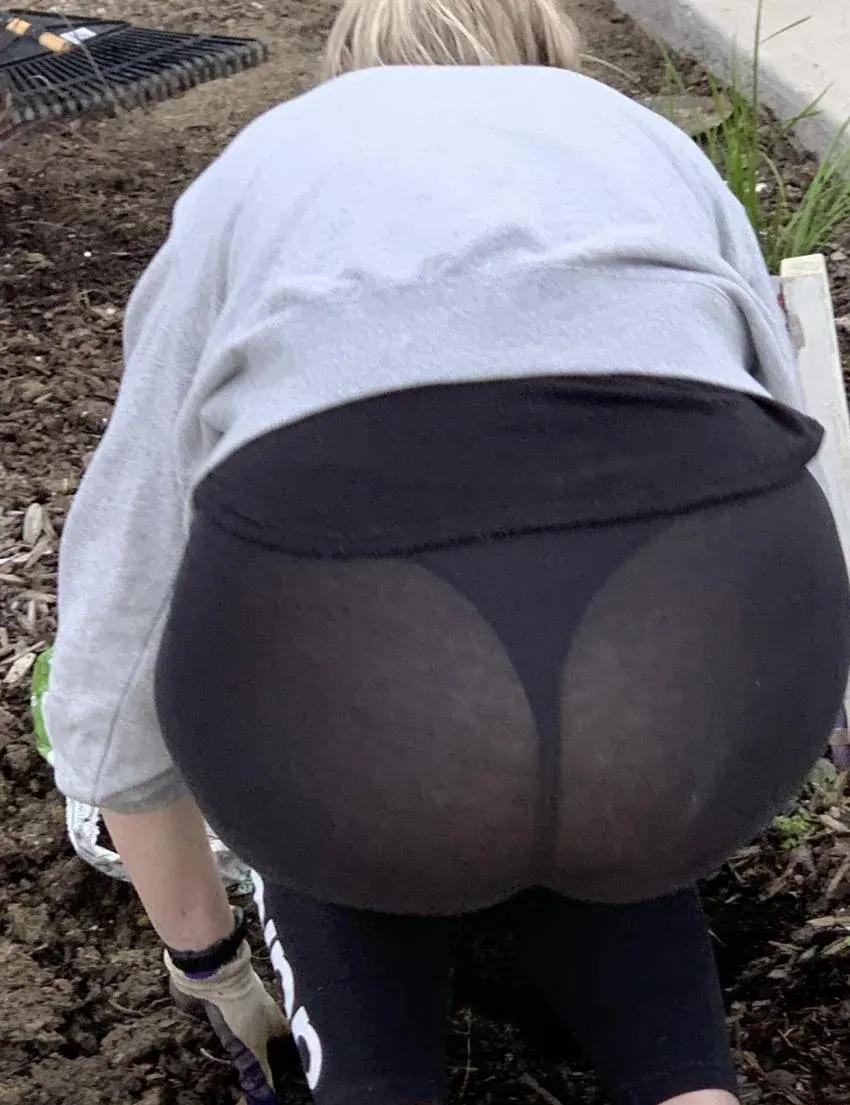 Minka_Miau_Sottunga